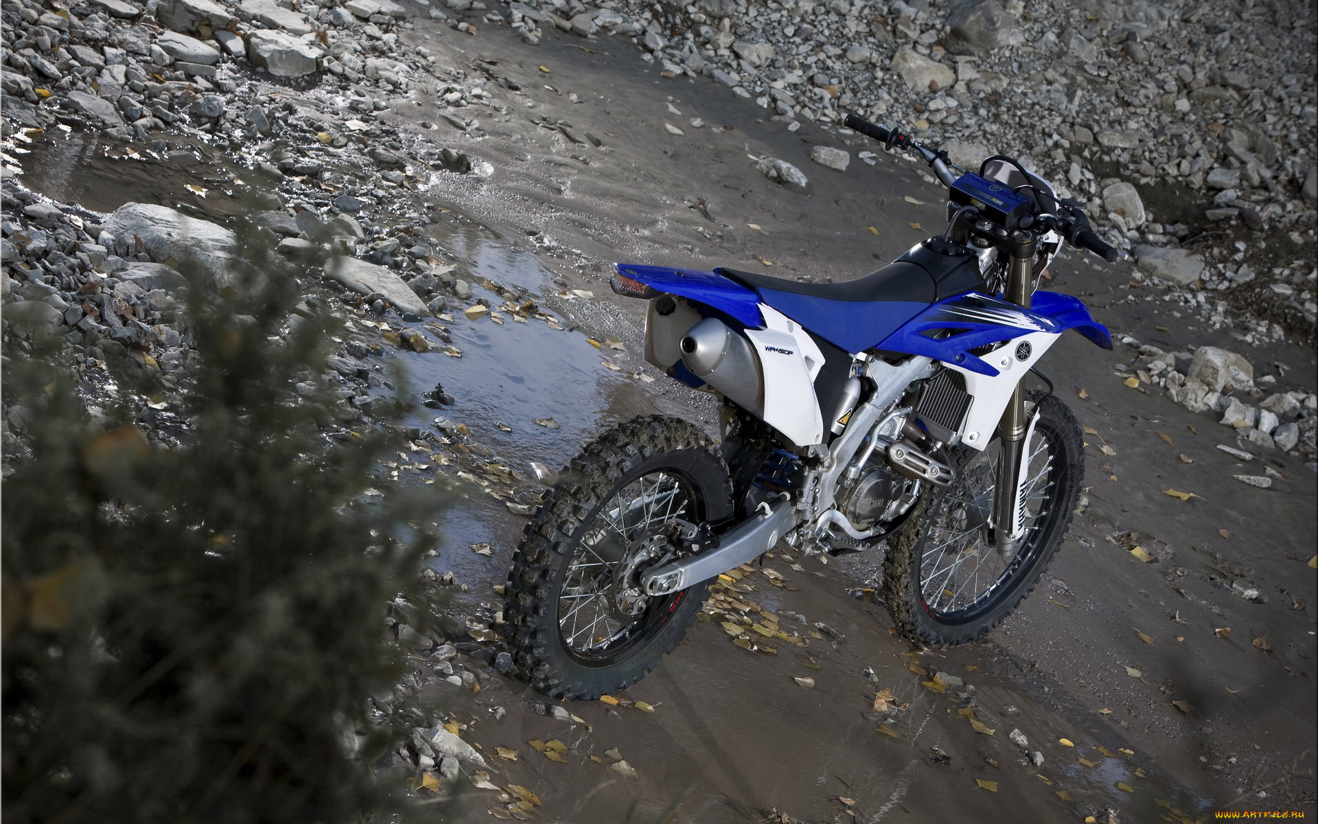 Yamaha WR 450 2015